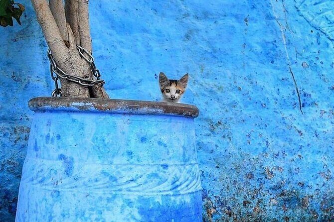Chefchaouen Day Trip from Tangier : private and luxury - Pricing and Value