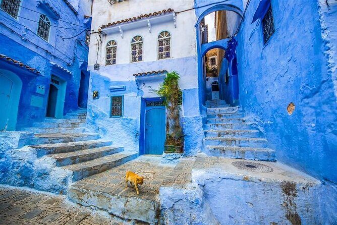 Chefchaouen Day Trip from Tangier : private and luxury - FAQ