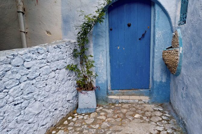 Chefchaouen Day Trip! The Blue Pearl - Return Journey and Flexibility