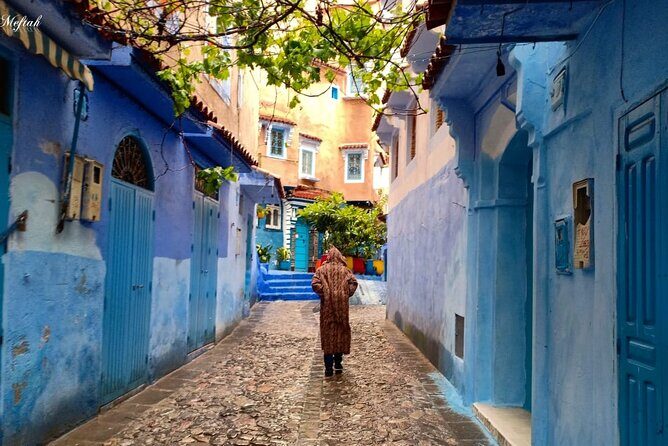 Chefchaouen private full day excursion & panoramic of Tangier - What to Expect from the Itinerary