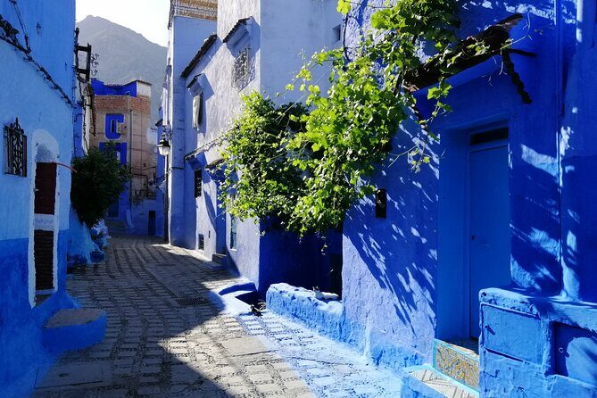 Chefchaouen private full day excursion & panoramic of Tangier - Transportation and Timing