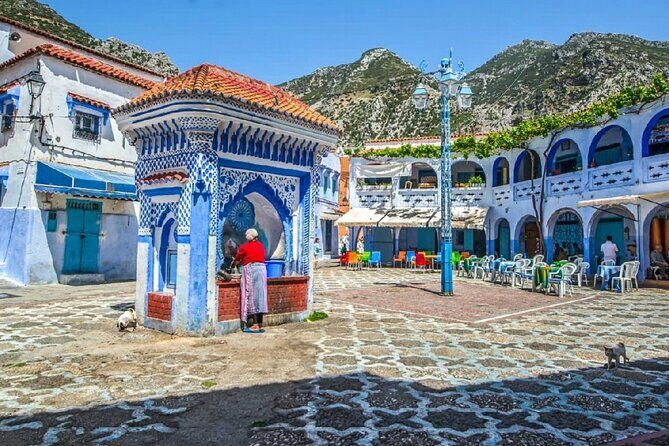 Chefchaouen the Blue City Full-Day Trip from Casablanca - Authentic Insights from the Reviews