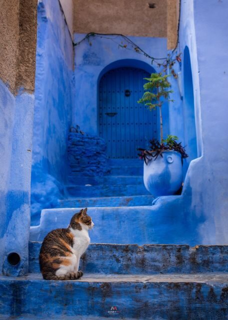 Chefchaouen tour guide - Frequently Asked Questions