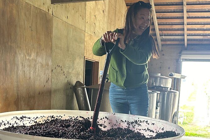 Chefs Private Martinborough Wine Tour with lunch from Wellington - Key Points