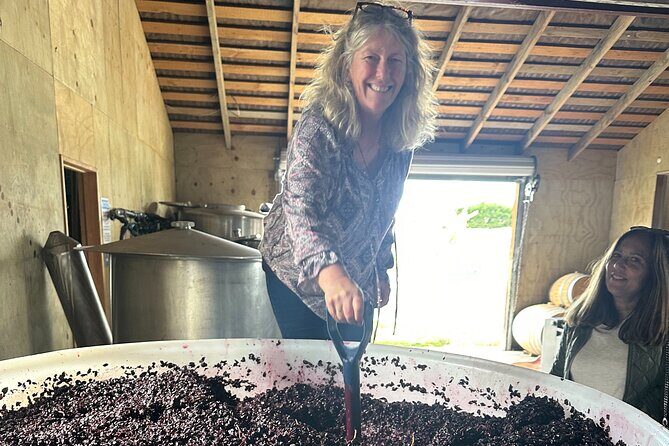 Chefs Private Martinborough Wine Tour with lunch from Wellington - Who Will Enjoy This Tour?