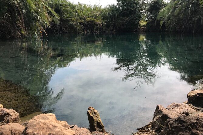 Chemka Hotsprings - Exploring Chemka Hotsprings: A Refreshing Day Trip from Moshi