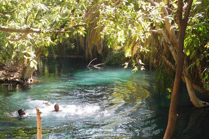 Chemka (Kikuletwa) Hot Springs, Tanzania - What to Expect from Your Chemka (Kikuletwa) Hot Springs Tour