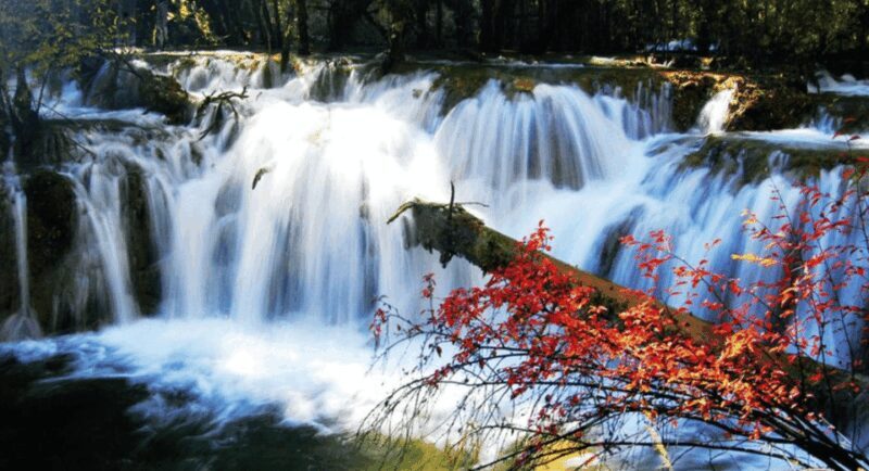 Chengdu 3-Day Self-Guided Jiuzhaigou&Huanglong with Transfer - Who Should Consider This Tour?