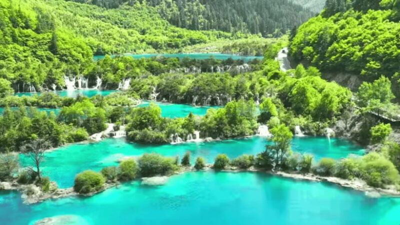 chengdu-5-day-jiuzhaigou-and-dujiangyan-tour-with-panda