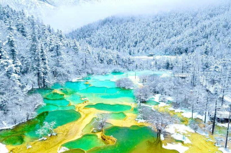 chengdu-5-day-jiuzhaigou-and-dujiangyan-tour-with-panda