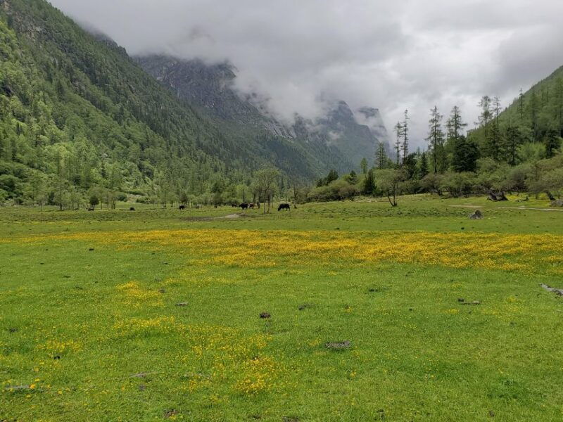 chengdu-6-day-mt-siguniang-dafeng-erfeng-climbing-tour