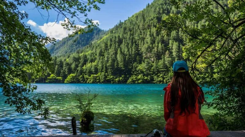 Chengdu: 7-Day Private Tour with Jiuzhaigou & Emeishan - A Deep Dive into the 7-Day Itinerary