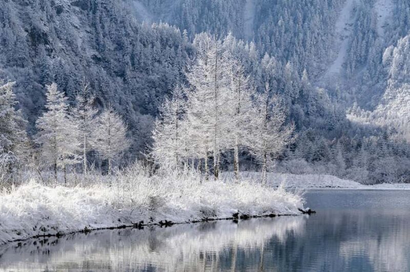 Chengdu: Bipenggou Scenic Area Day Trip with Guide - FAQ