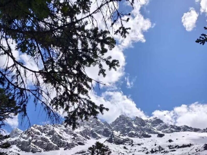 Chengdu: Bipenggou Scenic Area Private Tour - The Geology Marvel: The Bird’s Nest