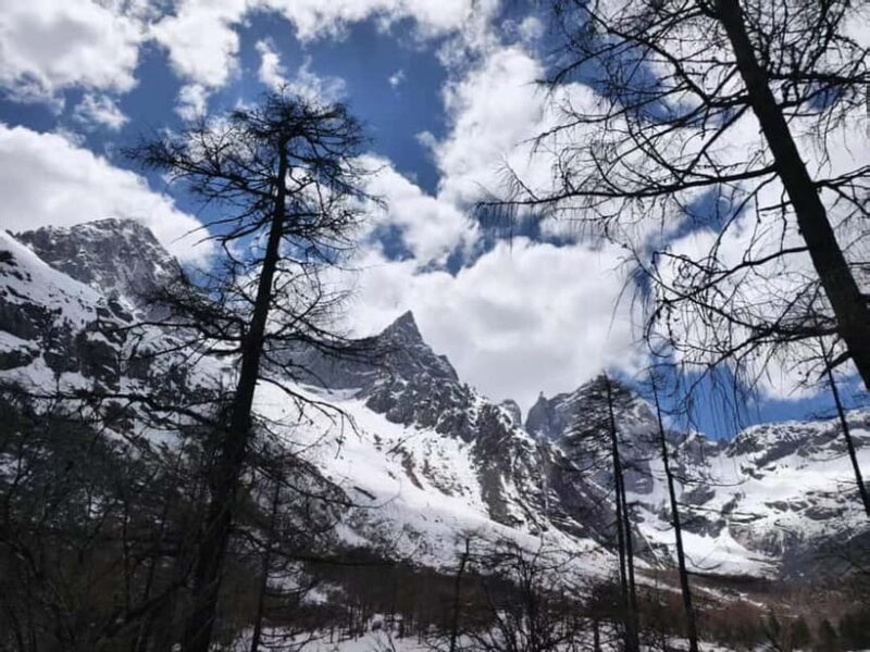 Chengdu: Bipenggou Scenic Area Private Tour - Practicalities and Experience Tips