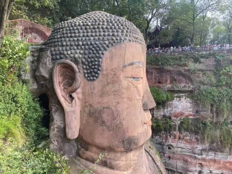 Chengdu: Chengdu Day Trip with Giant Panda and Leshan Buddha - Why This Tour Stands Out