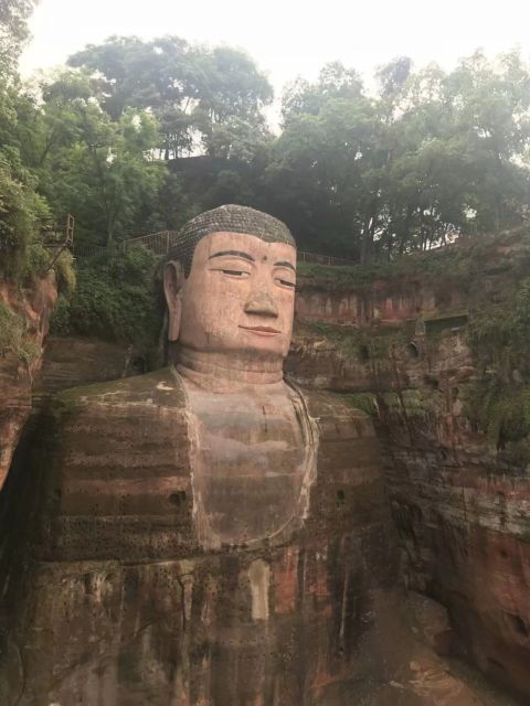 chengdu-chengdu-day-trip-with-giant-panda-and-leshan-buddha