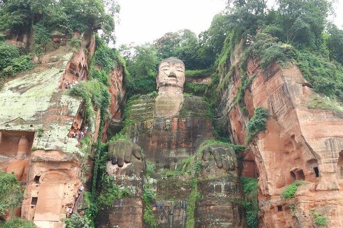 Chengdu Customized Experience: Giant Pandas and Buddha Statue In One Day - Key Points