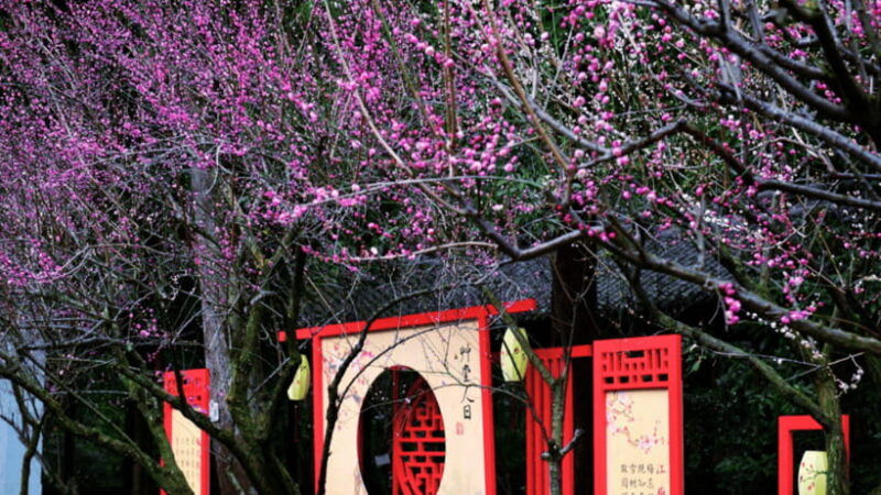 chengdu-du-fu-thatched-cottage-poetry-museum