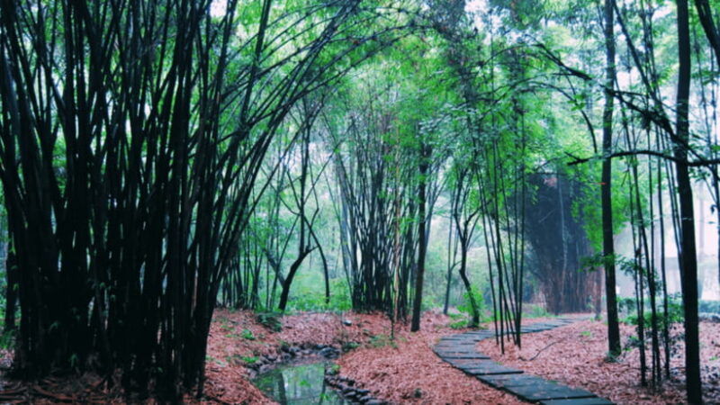 chengdu-du-fu-thatched-cottage-poetry-museum