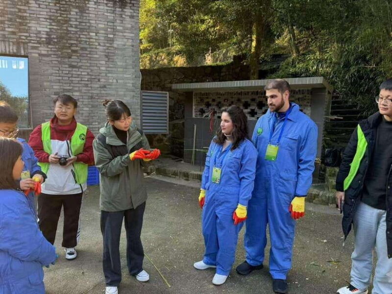 chengdu-dujiangyan-panda-base-volunteering-day-trip