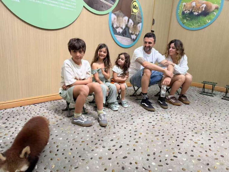chengdu-dujiangyan-panda-base-volunteering-day-trip