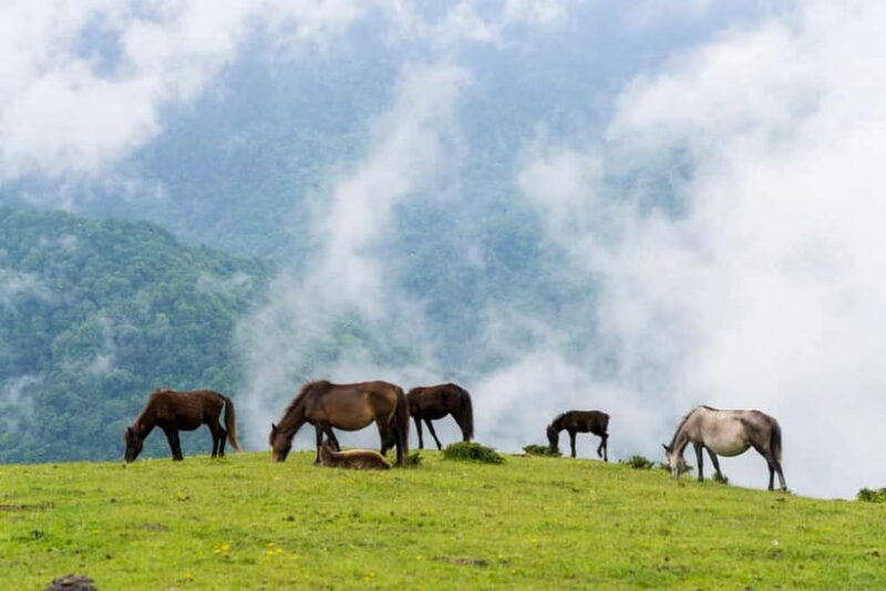 Chengdu: Ganhaizi Hidden Paradise Day Trip with Hike - Who Is This Tour Best For?