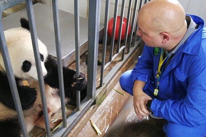 Chengdu Getaway: Private 2-Day Tour from Beijing - Day 1: Panda Love and Historical Insights