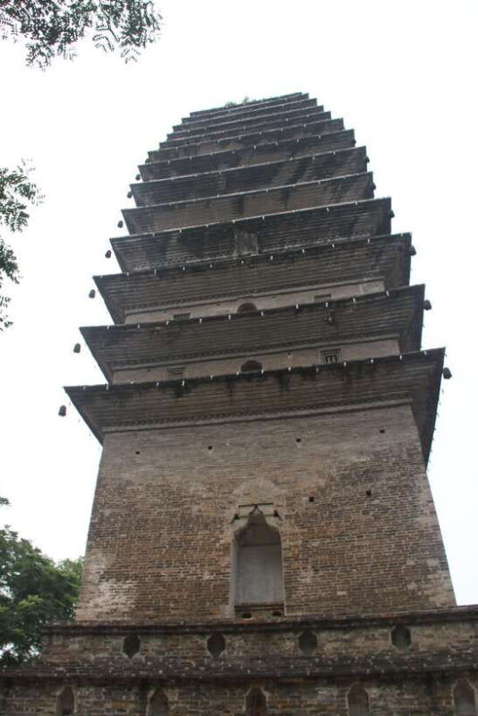 chengdu-giant-panda-and-leshan-buddha-sall-group-day-tour