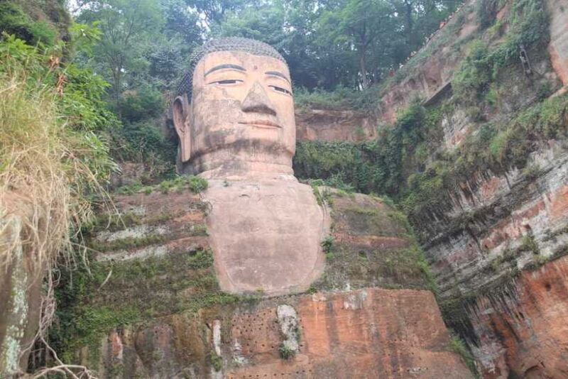 chengdu-giant-panda-and-leshan-buddha-sall-group-day-tour