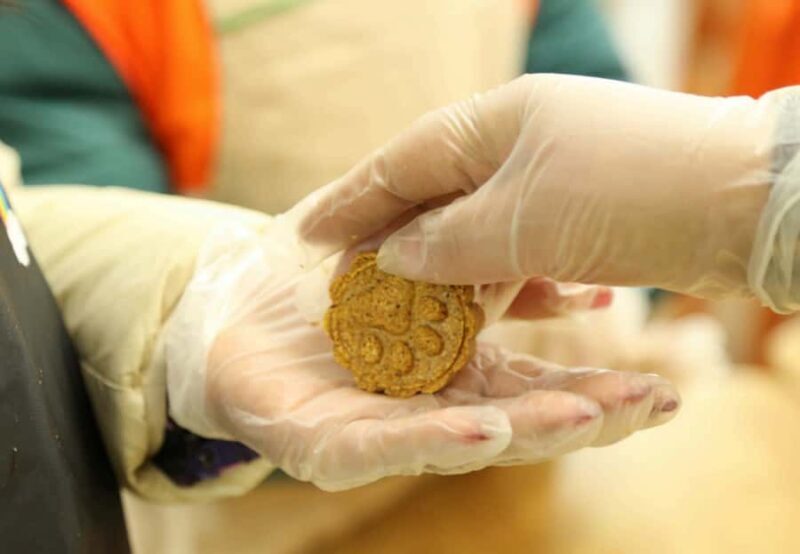 Chengdu: Giant Panda Base Tour with Panda Nutrition Class - Making Panda Food Buns: A Hands-On Highlight