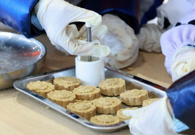 Chengdu: Giant Panda Base Tour with Panda Nutrition Class - Wrapping Up with Certificates and Photos
