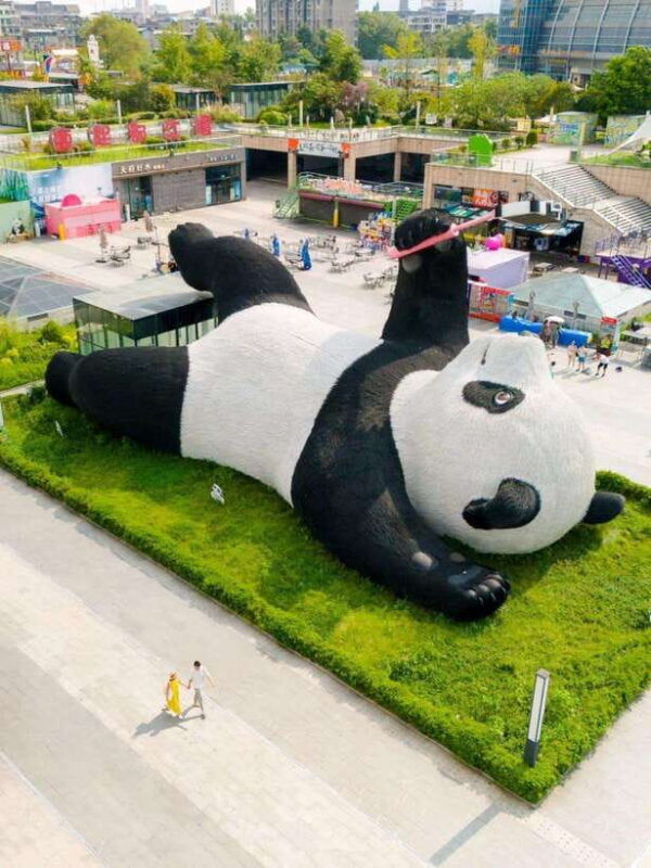 chengdu-hidden-wonders-day-tour-with-wolong-panda-base