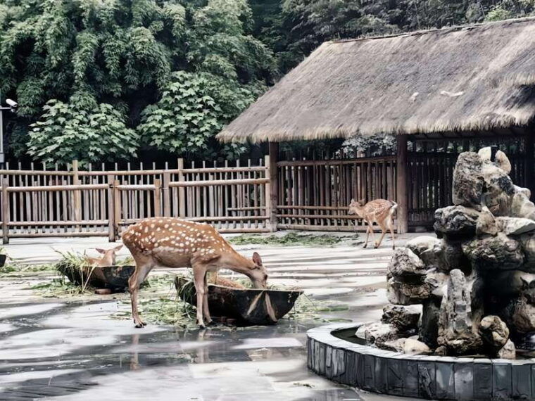 chengdu-intangible-cultural-heritage-one-day-tour