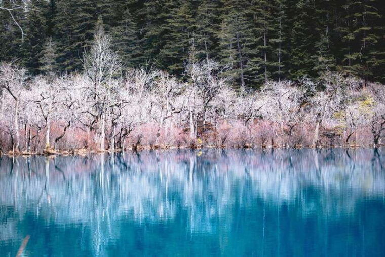 chengdu-jiuzhaigou-enchanted-landscapes-tour