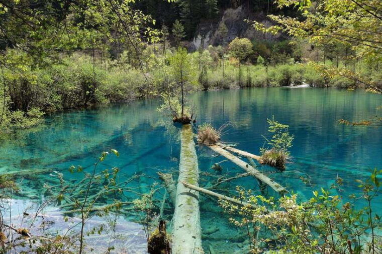 chengdu-jiuzhaigou-enchanted-landscapes-tour