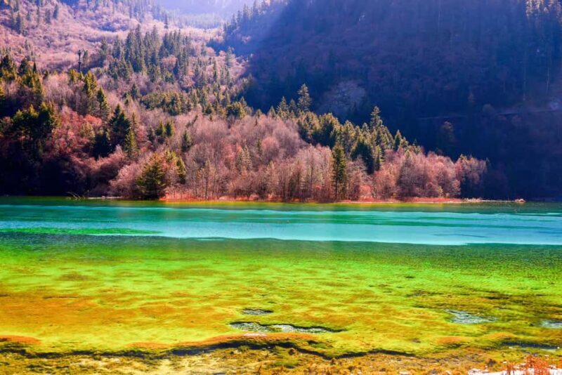 Chengdu: Jiuzhaigou+Huanglong 2-Day private Tour - Transportation & Logistics