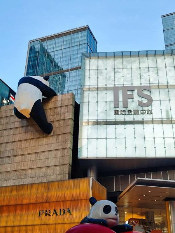 Chengdu Landmarks Photo Walk: Iconic City Walk in One Day - Final Thoughts