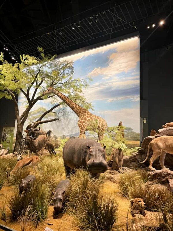 Chengdu: Natural History Museum Guided Tour - Introduction