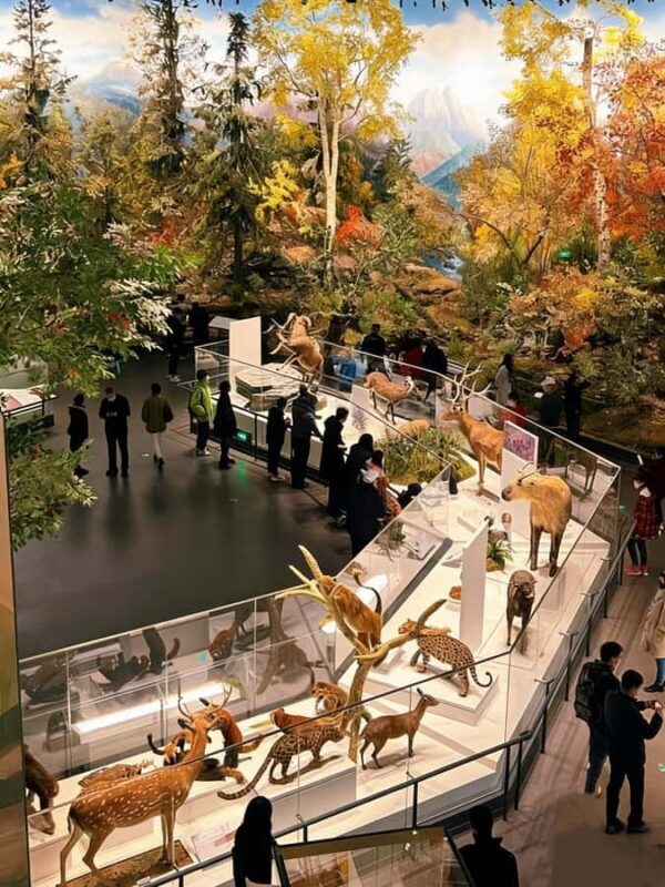 Chengdu: Natural History Museum Guided Tour - The Shared Tour in Mandarin