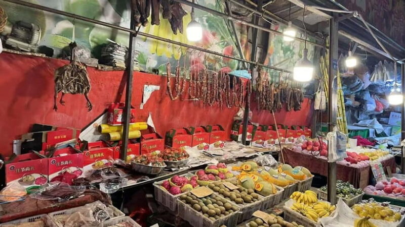 Chengdu Night: VIP Seat Opera Show or Back Alley Food Tour - Who Would Love This Tour?