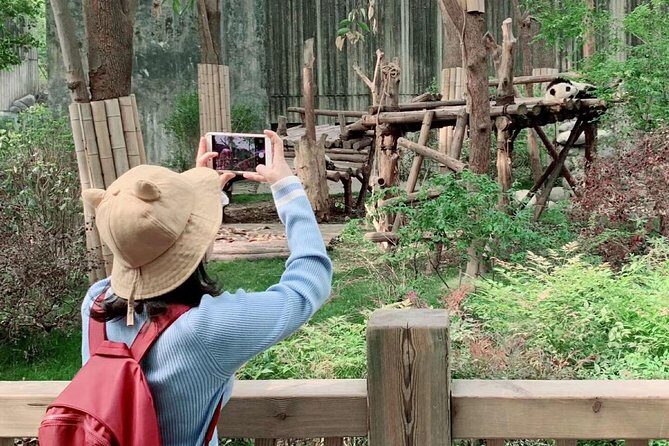 Chengdu Panda Base and Drop off Chengdu Railway Station Day Tour - Transportation and Timing