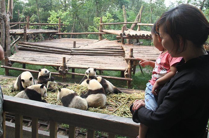 Chengdu Panda Base and Drop off Chengdu Railway Station Day Tour - Who Is This Tour Best For?
