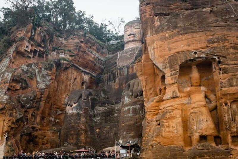 chengdu-panda-base-and-leshan-giant-buddha-one-day-tour