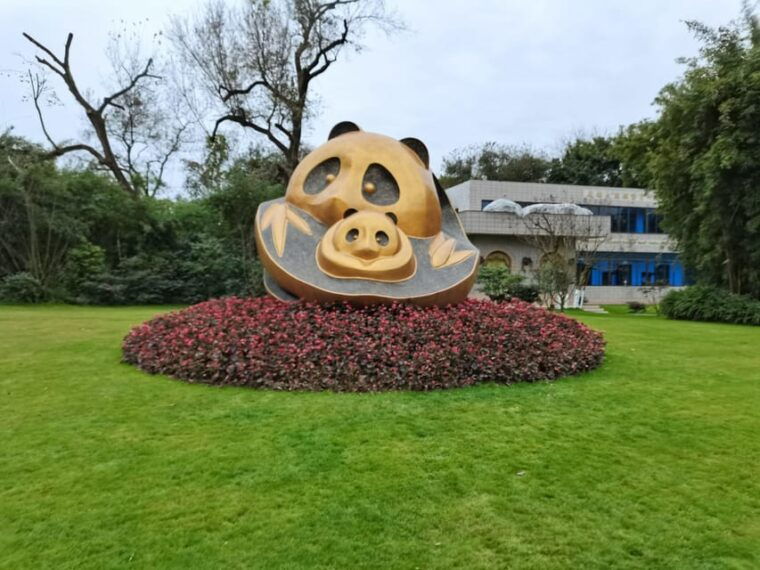 chengdu-panda-base-and-leshan-giant-buddha-one-day-tour
