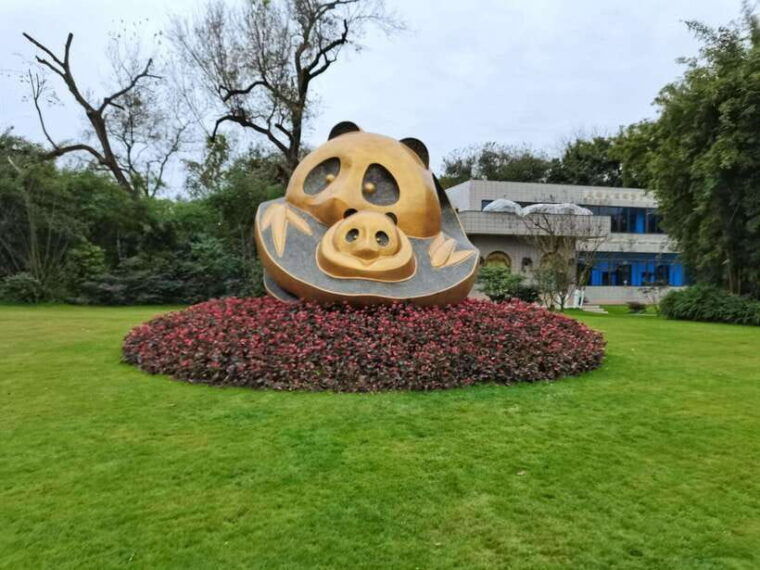 chengdu-panda-base-and-leshan-giant-buddha-one-day-tour