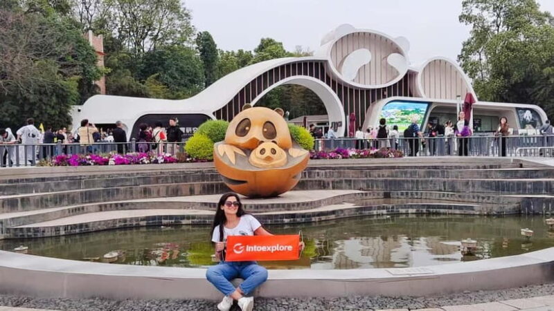 Chengdu Panda Base and Luodai Ancient Town One-Day Tour - Final Thoughts: Who Will Love This Tour?