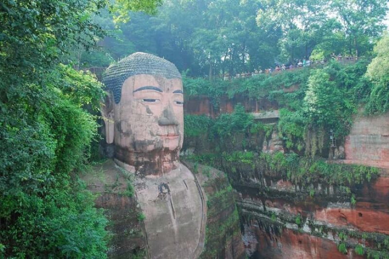 Chengdu: Panda Base Half-day Tour or Panda & Buddha Day Tour - The Sum Up