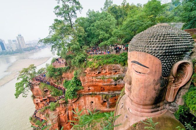 Chengdu: Panda Base Leshan Buddha English-guided Group Tour - Key Points