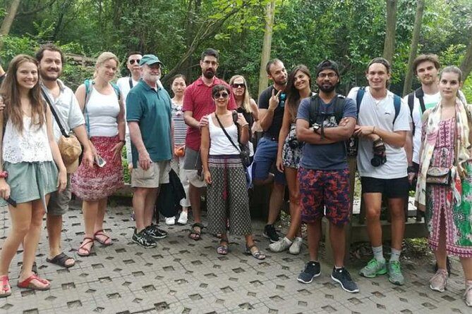 Chengdu: Panda Base Leshan Buddha English-guided Group Tour - The Itinerary in Detail